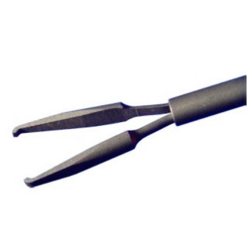 Eckardt Forceps